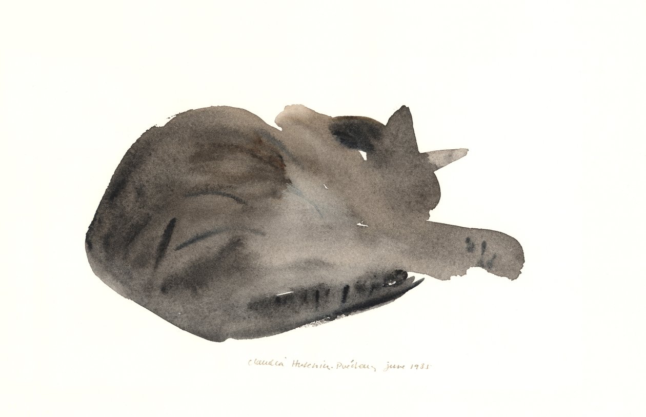 Sovende katt, 1985 (akvarell) av Claudia Hutchins Puechavy