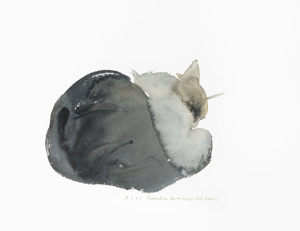 Sovende katt, 1985 (akvarell) av Claudia Hutchins Puechavy