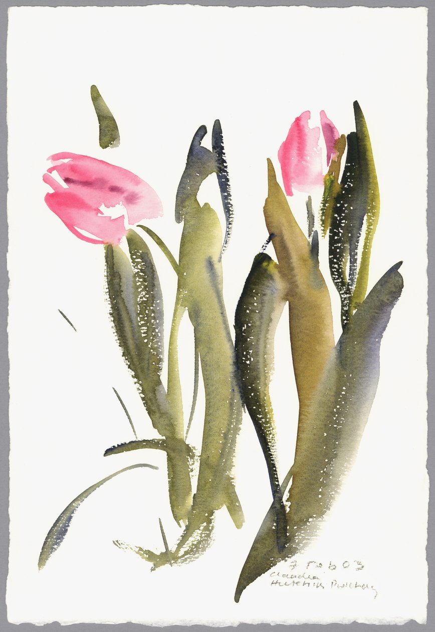 Tulipaner, 2003 (akvarell) av Claudia Hutchins Puechavy