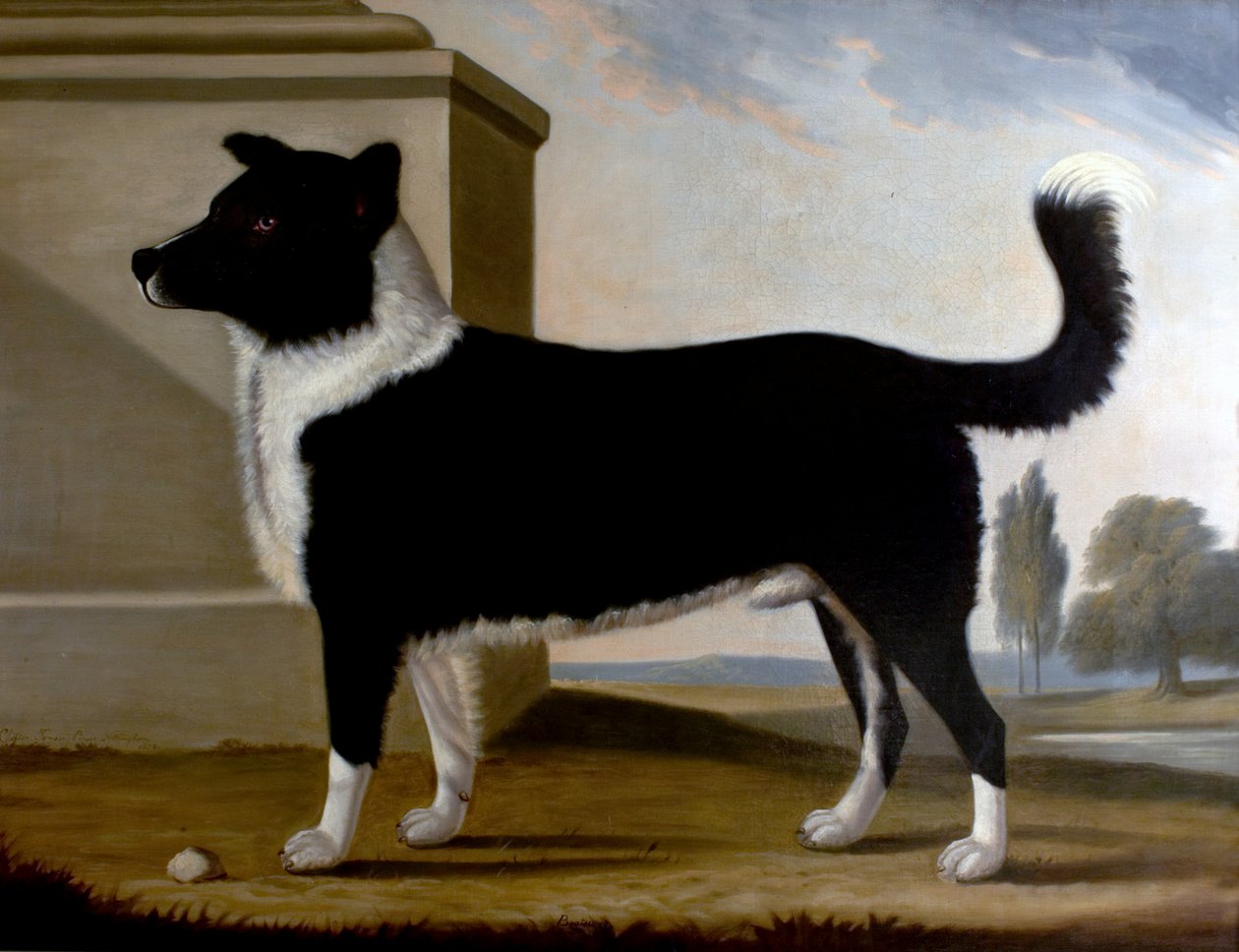 Lord Byrons Dog Boatswain (The Newfoundland), 1808 av Clifton Tomson