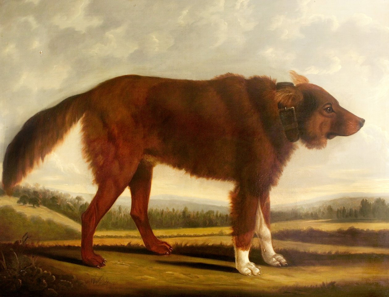 Lord Byrons Dog Lyon (Ulvehunden), 1808 av Clifton Tomson