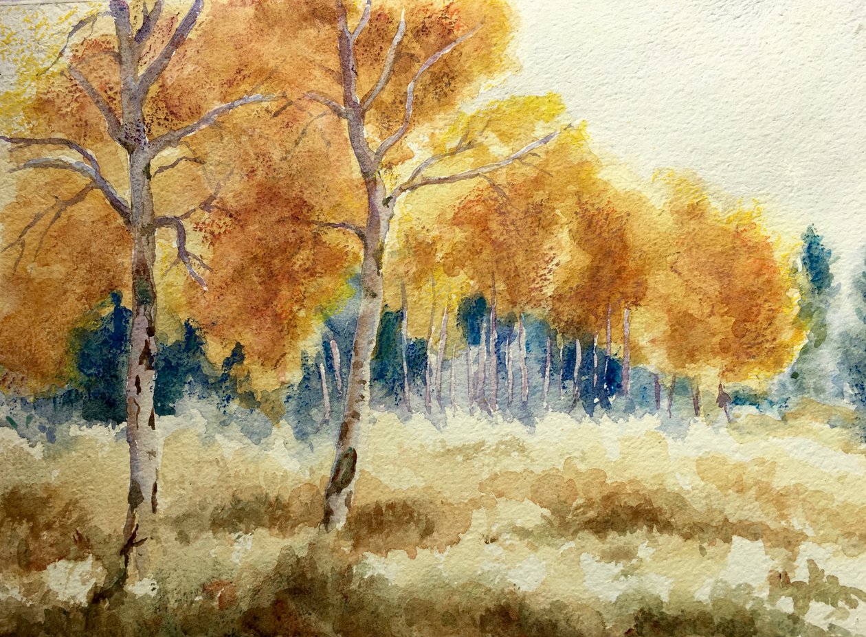 Høstosper i Tetons, 2011 (akvarell) av Clive Wilson