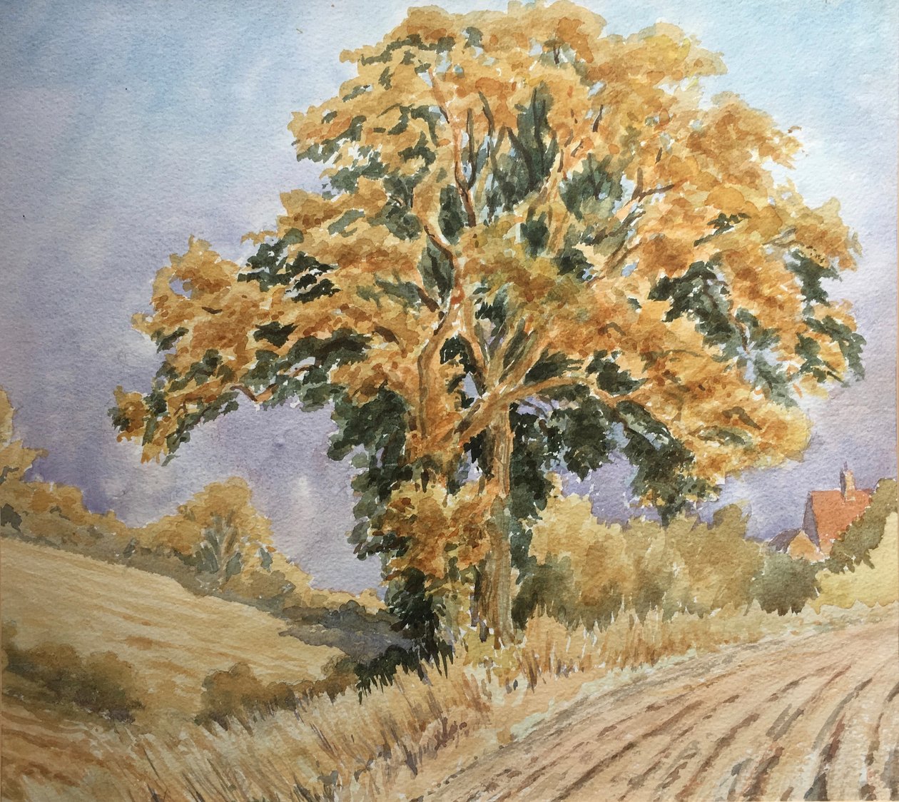 Høstsolnedgang, North Denford av Clive Wilson