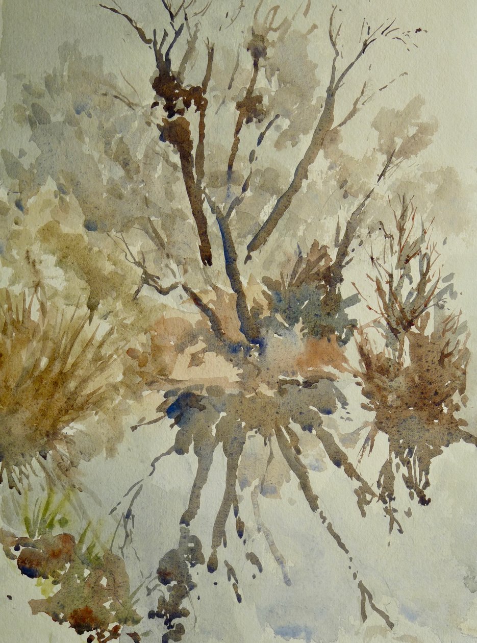 Lammelår, Eton, 2010 (akvarell) av Clive Wilson
