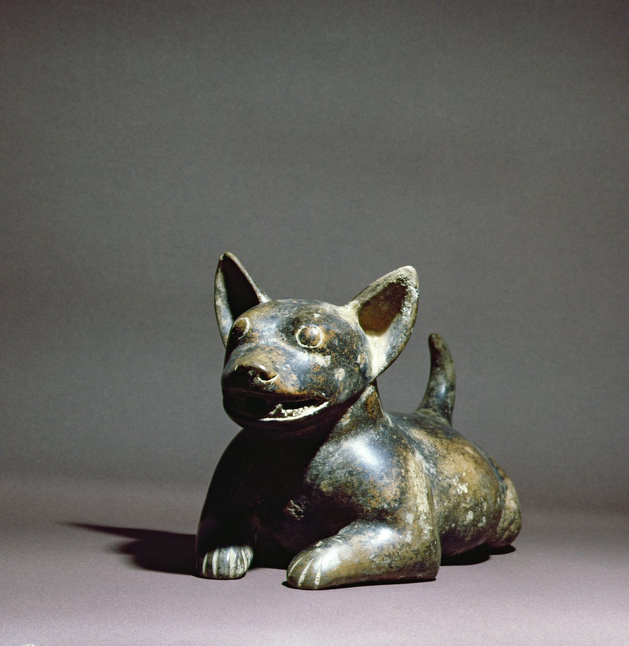 Colima halvliggende hund, 300 f.Kr. - 500 f.Kr. (keramikk) av Colima Culture
