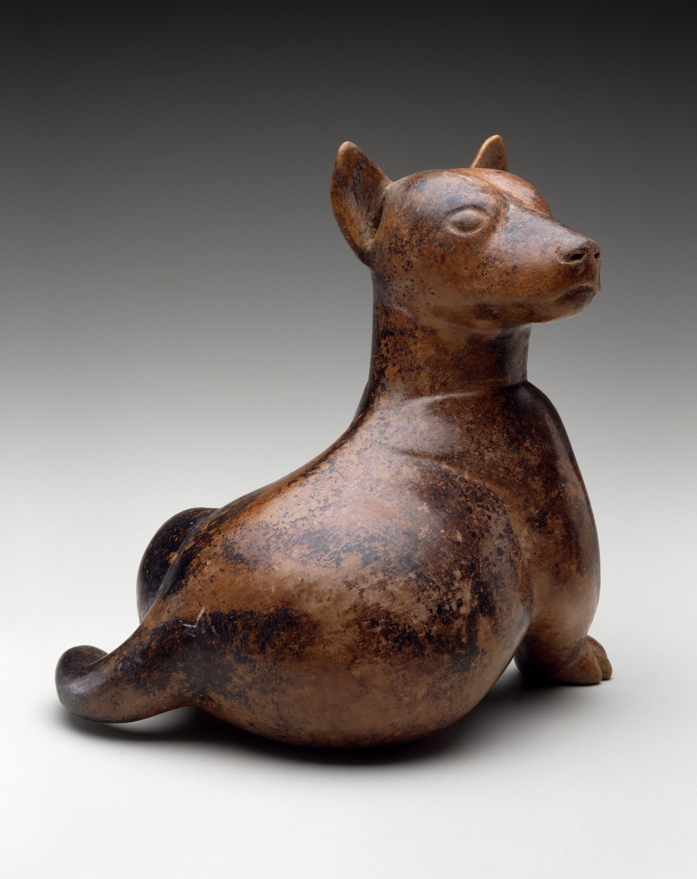 Halvsittende hund, Mexico, Proto-Classic, 100 f.Kr.-300 e.Kr. (keramikk) av Colima Culture