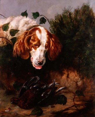 Just Shot - Spaniel med en død rype av Colin Graeme