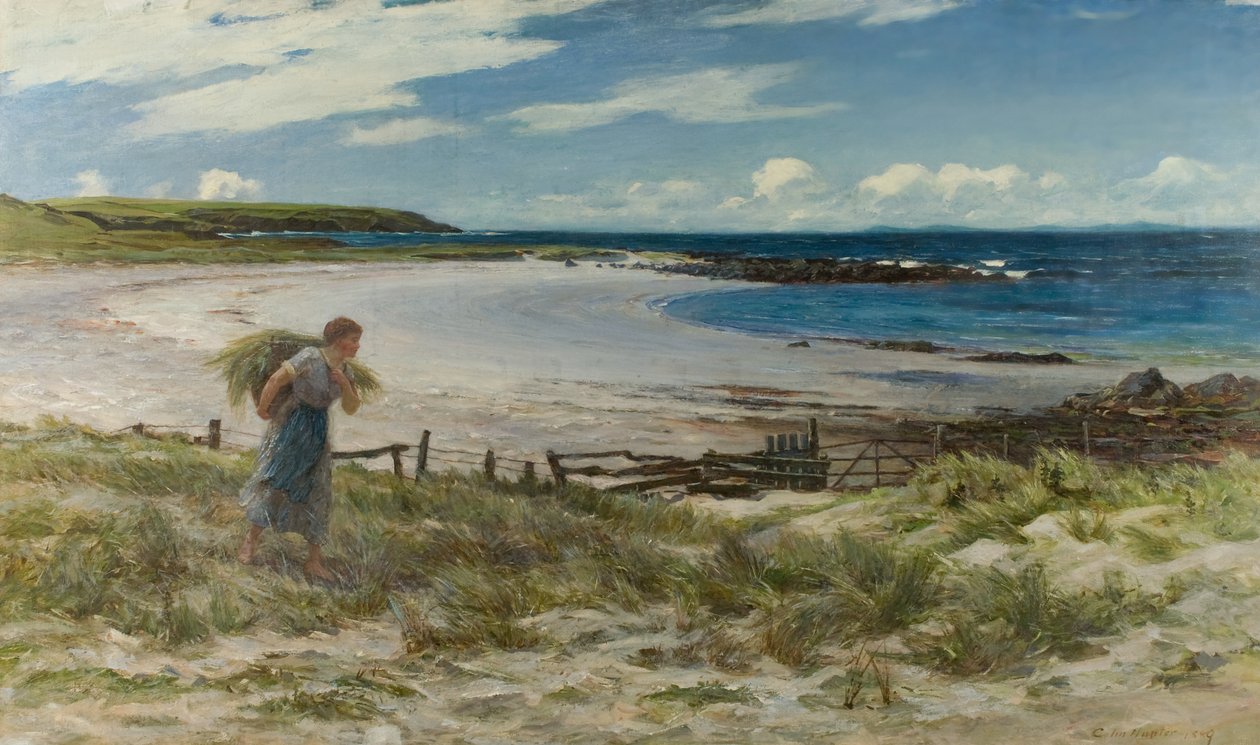 The Sands of White Hills av Colin Hunter