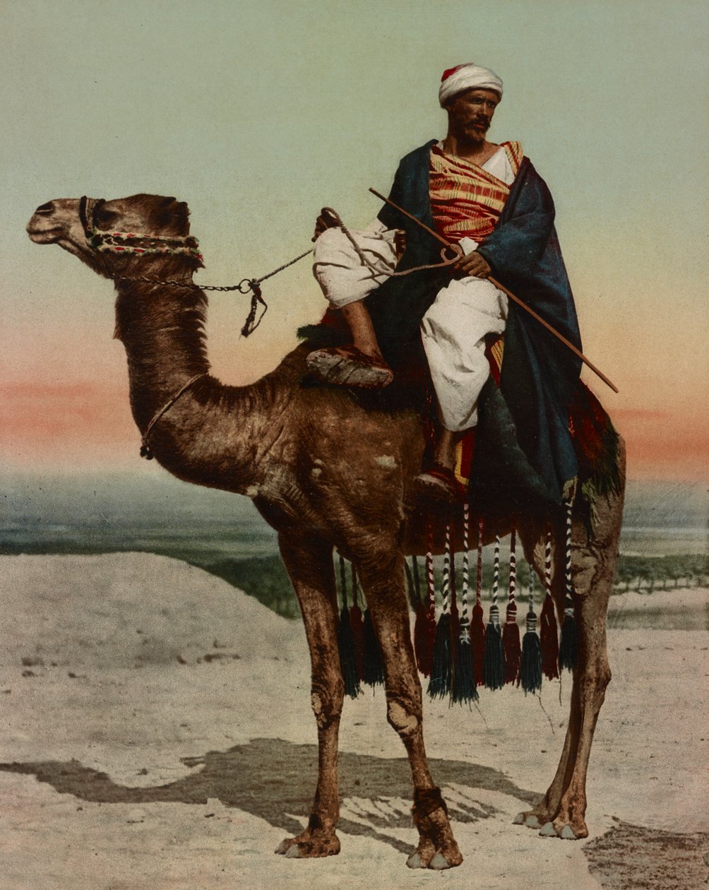 En beduin, Kairo, Egypt av Company Photoglob