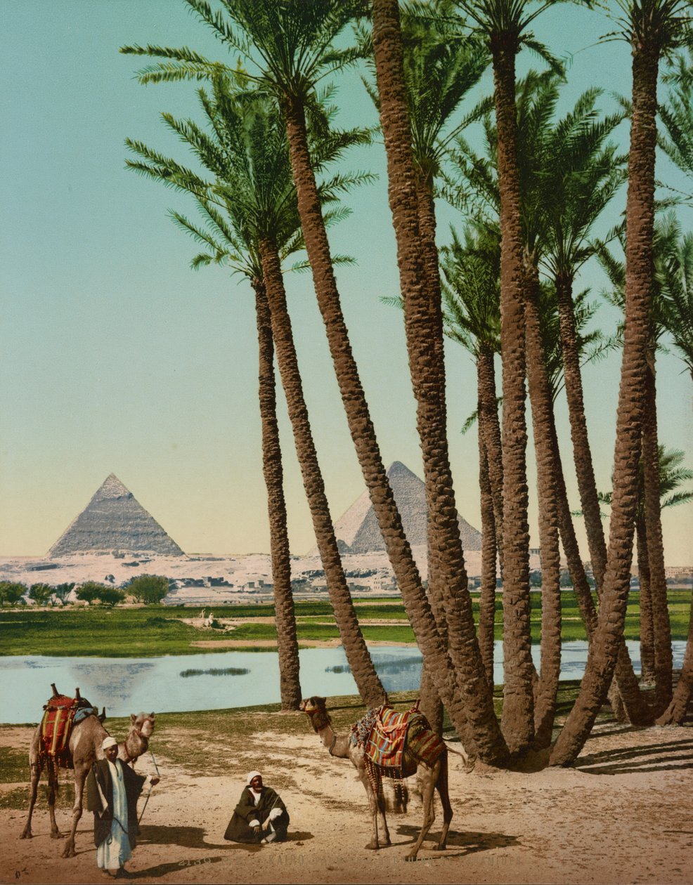 Palmer, beduiner og pyramider, Kairo, Egypt av Company Photoglob
