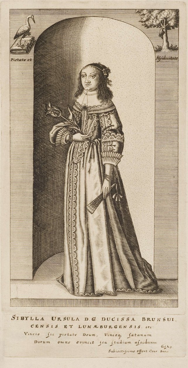  av Conrad Buno