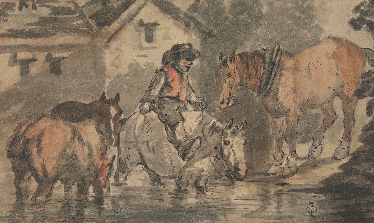 Mann som vanner fire hester av Conrad Gessner