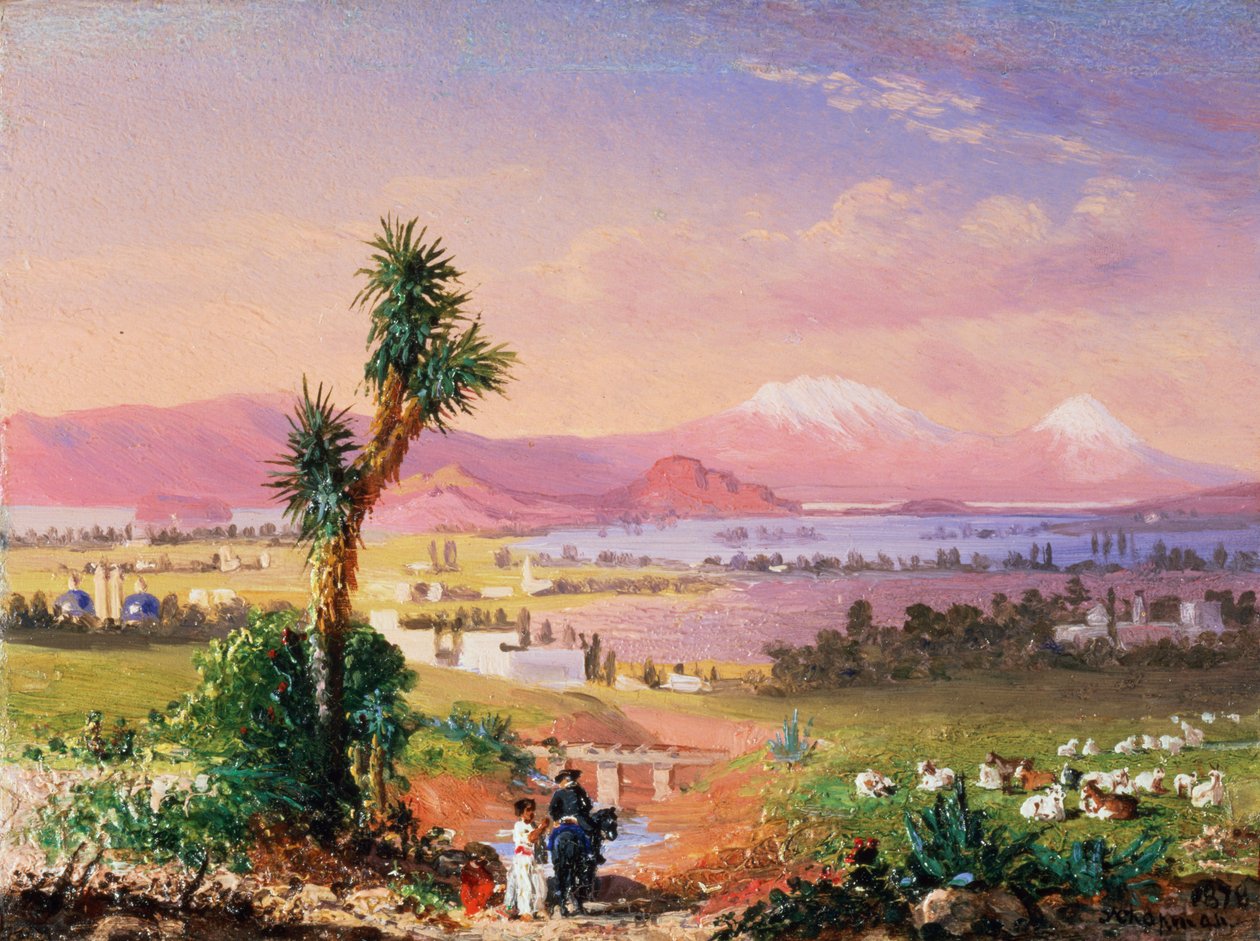 Utsikt over Mexico by av Conrad Wise Chapman