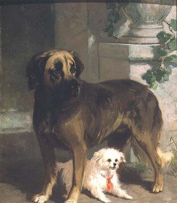En Mastiff og en Bichon av Conradyn Cunaeus