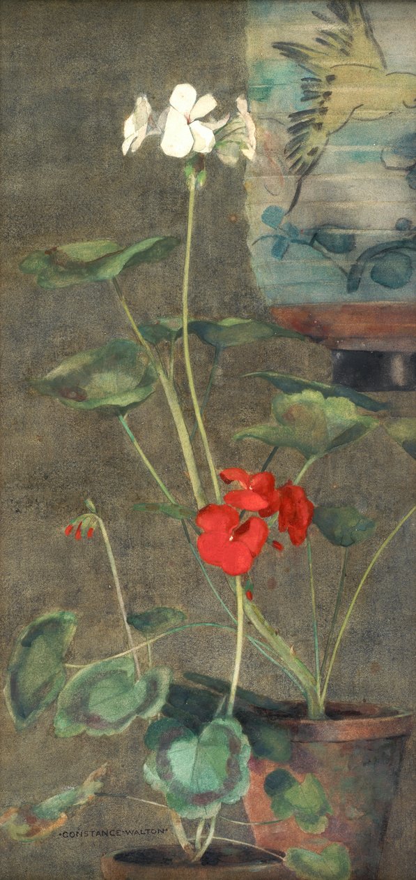 Pelargonier og japansk lykt (akvarell på papir) av Constance Walton