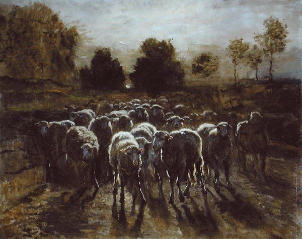 Flock of the Sheep, eller The Return of the Flock (olje på lerret) av Constant Emile Troyon