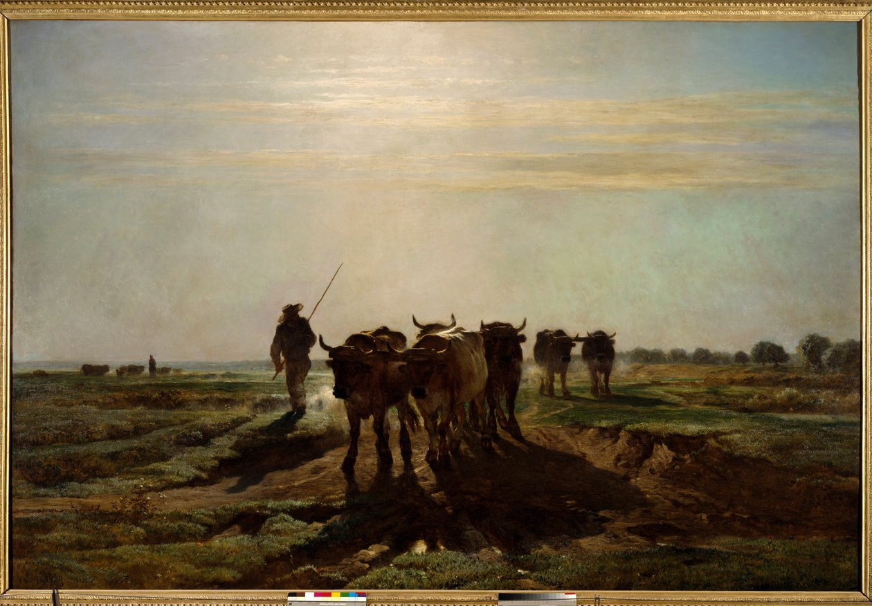 Oksene går til pløying, morgeneffekt Maleri av Constant Troyon (1810-1865) 1855 Søn. 2,6x4 m Paris, Musee d