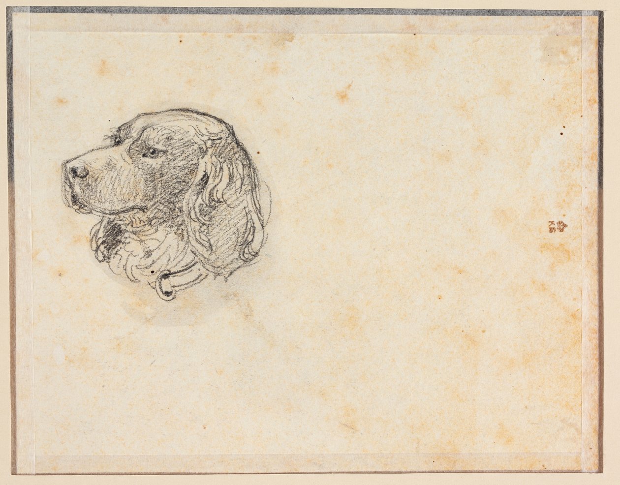 Et hundehode av Constantin Hansen