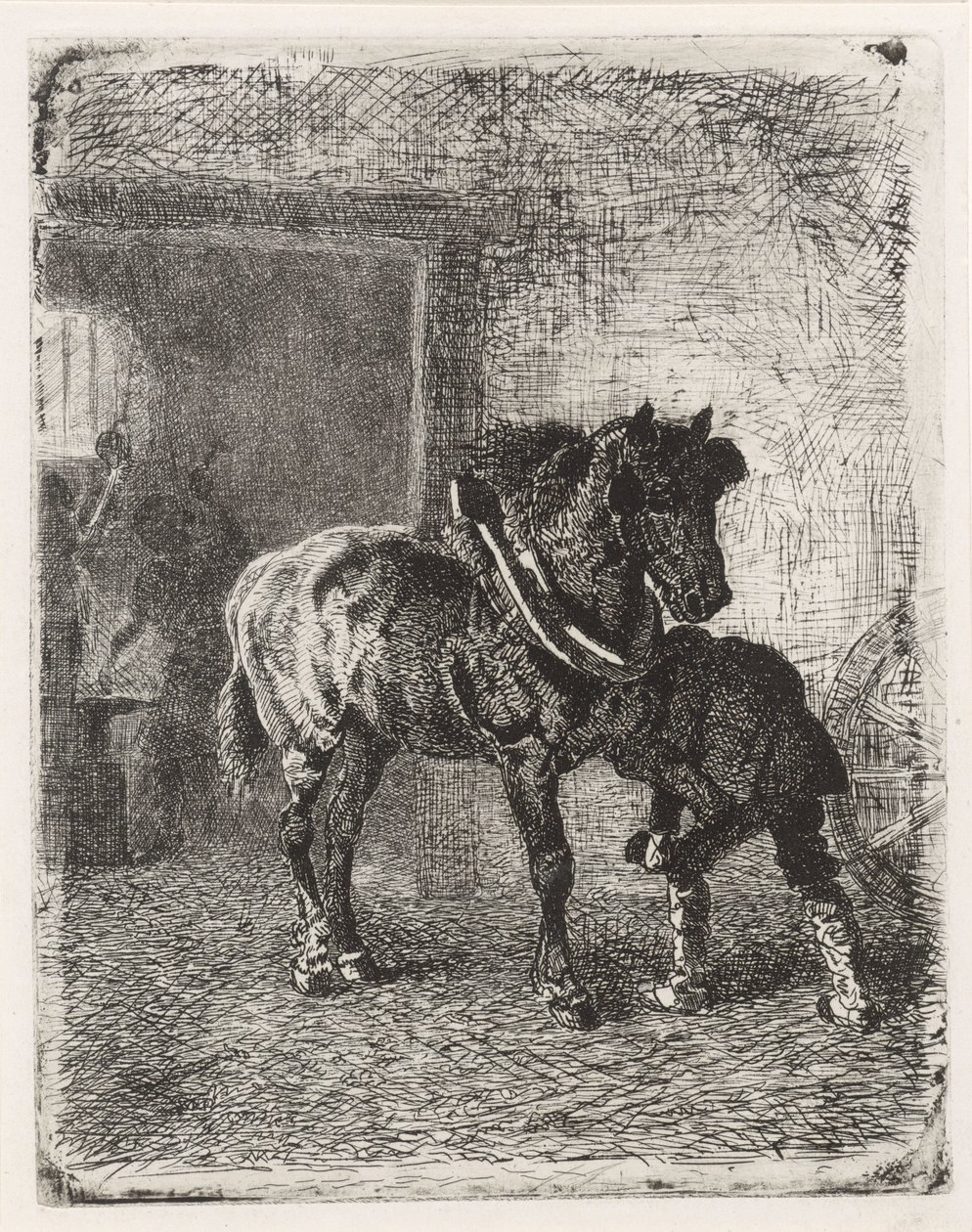 Hest får hestesko i en smie av Cornelis Albertus Johannes Schermer