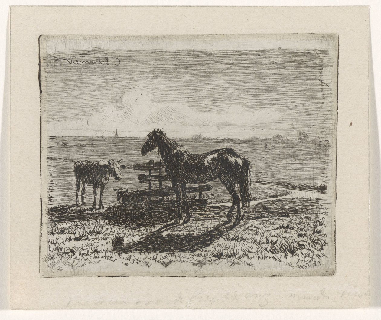 Beite med hest og to kyr av Cornelis Albertus Johannes Schermer