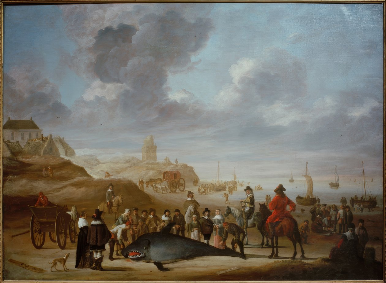 Hval på Scheveningen-stranden av Cornelis Beelt