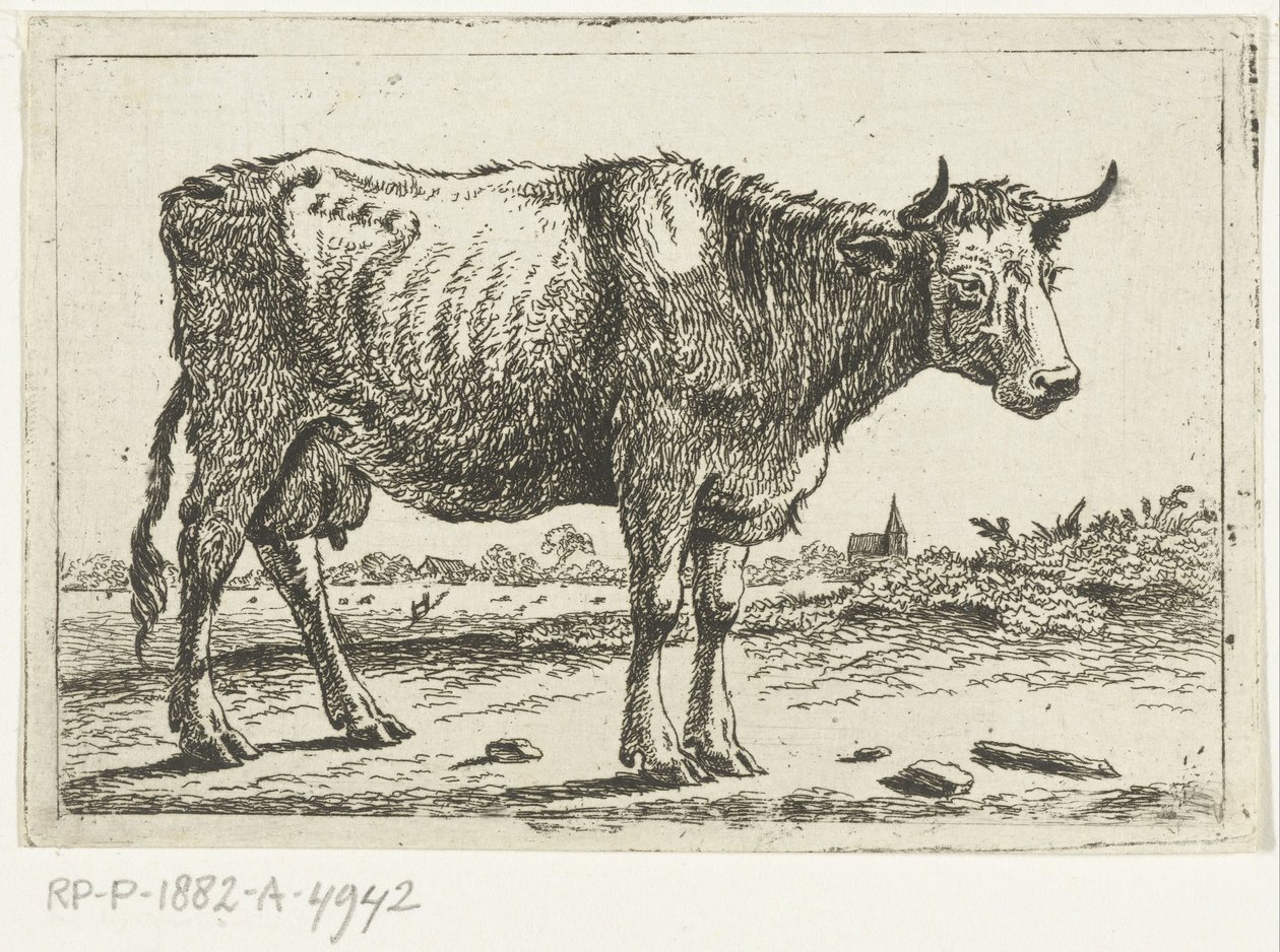 Landskap med ku av Cornelis  Bisschop