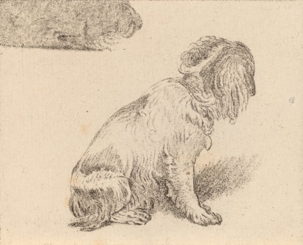 Sittende hund, 1777. av Cornelis Brouwer