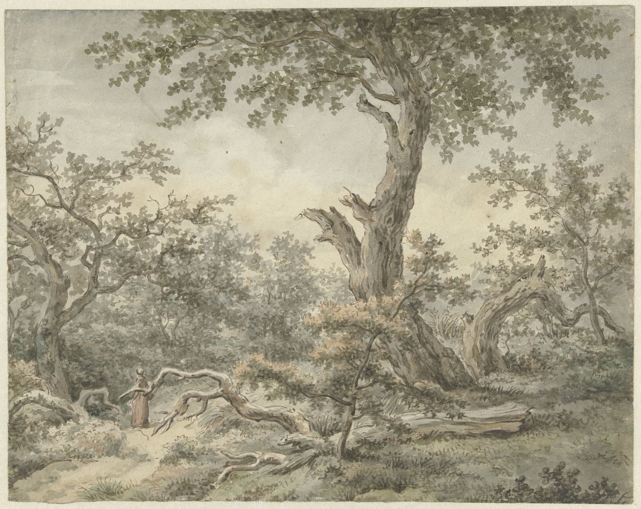 skoglandskap av Cornelis Buys