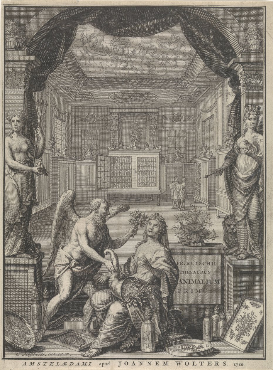 Allegori av naturen av Cornelis Huyberts