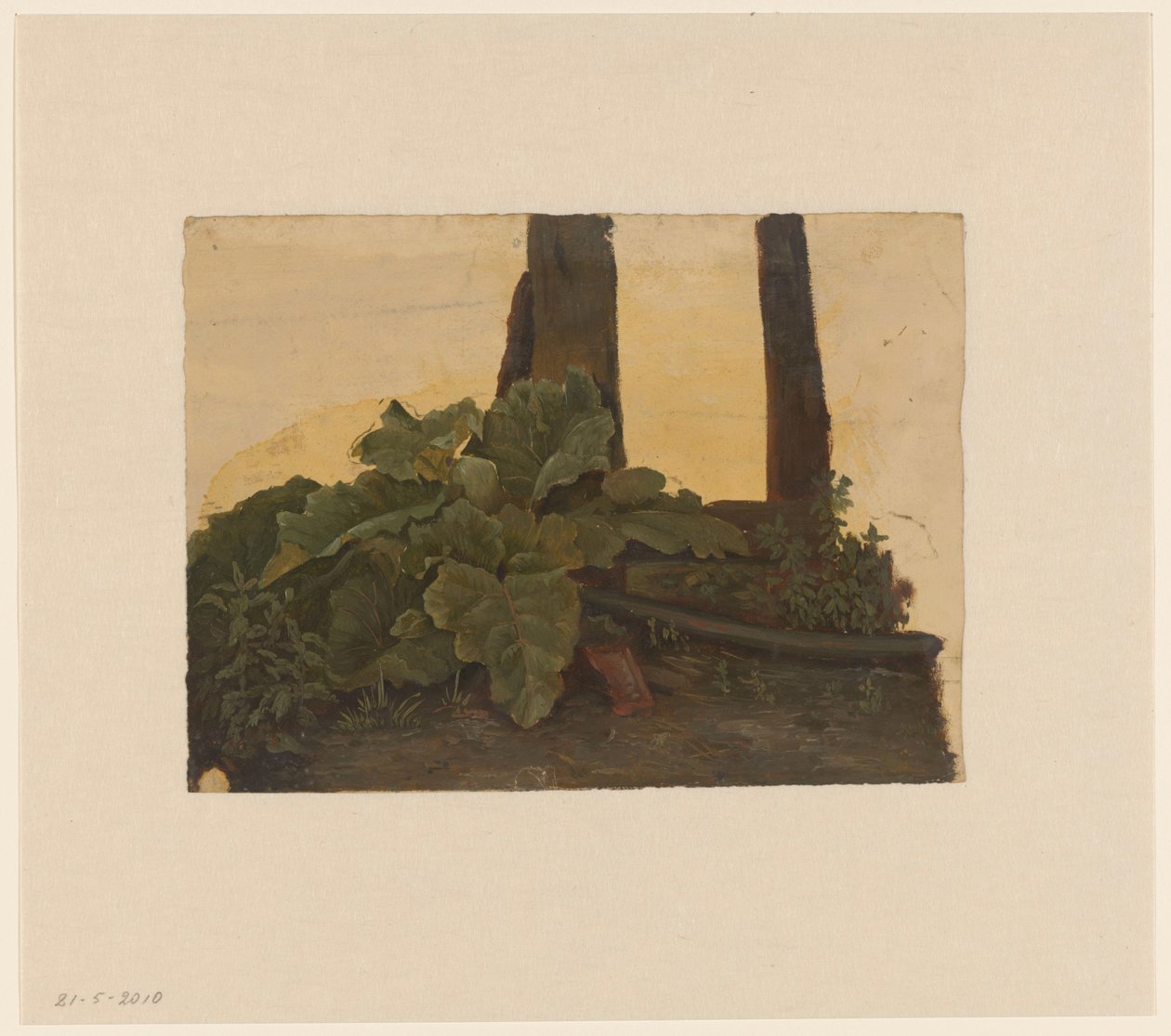 Planter ved foten av en trestamme av Cornelis Johannes de Vogel