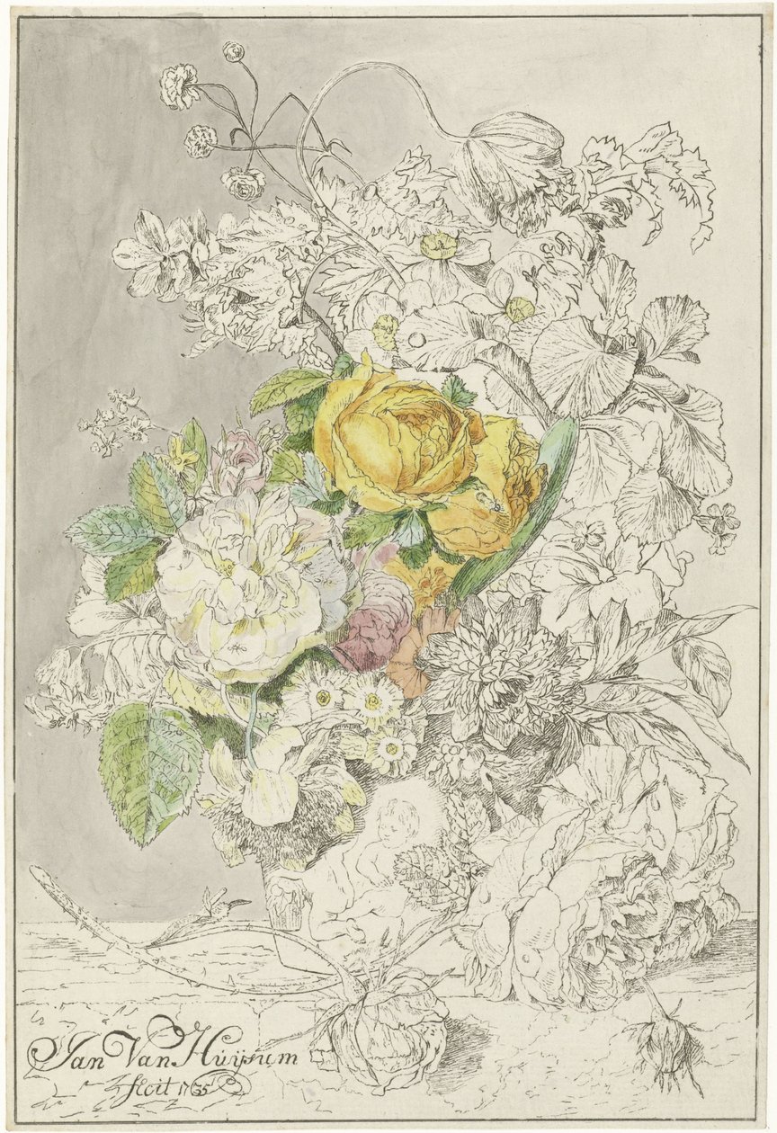 blomsterdekorasjon av Cornelis Ploos van Amstel (signed by artist)