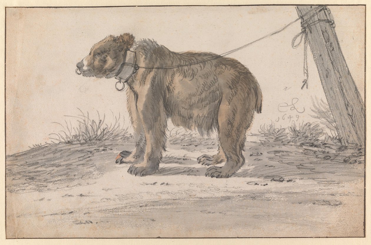 En bjørn i et tau av Cornelis Saftleven