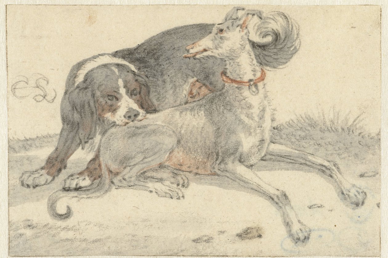Greyhound og en rapphønehund av Cornelis Saftleven