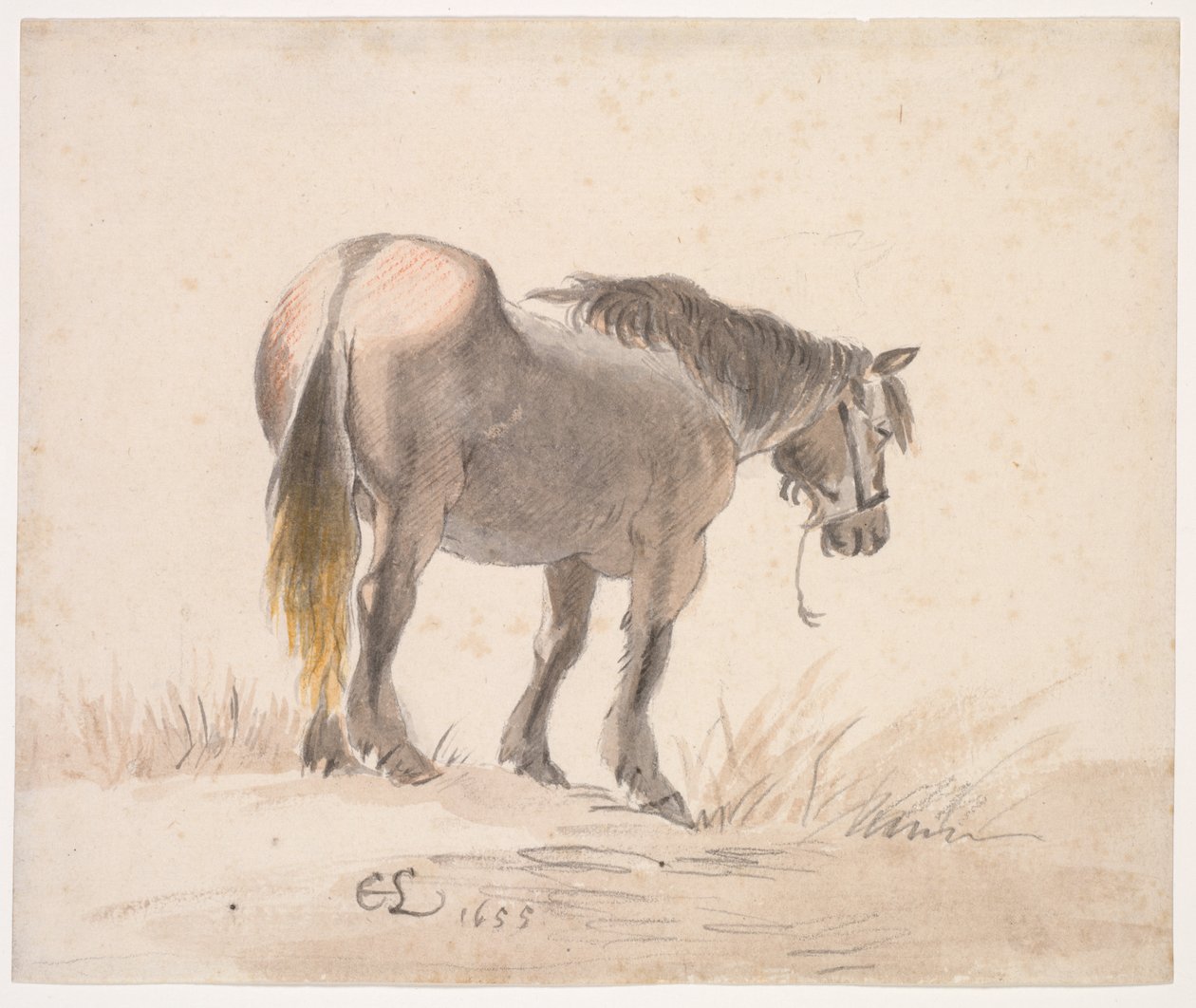 Hest som står på en haug av Cornelis Saftleven