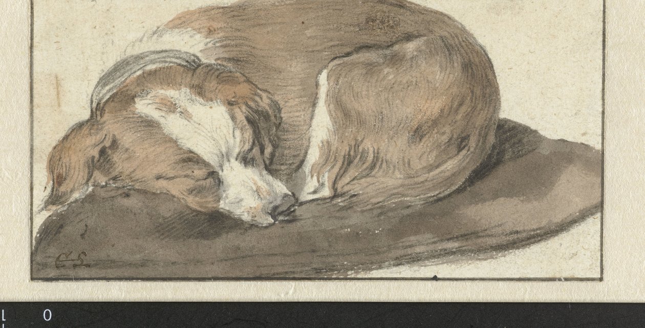 Sovende hund av Cornelis Saftleven