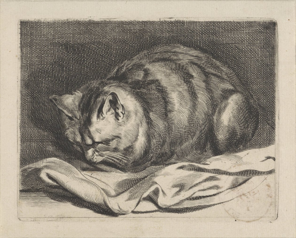 liten katt av Cornelis Visscher (II)