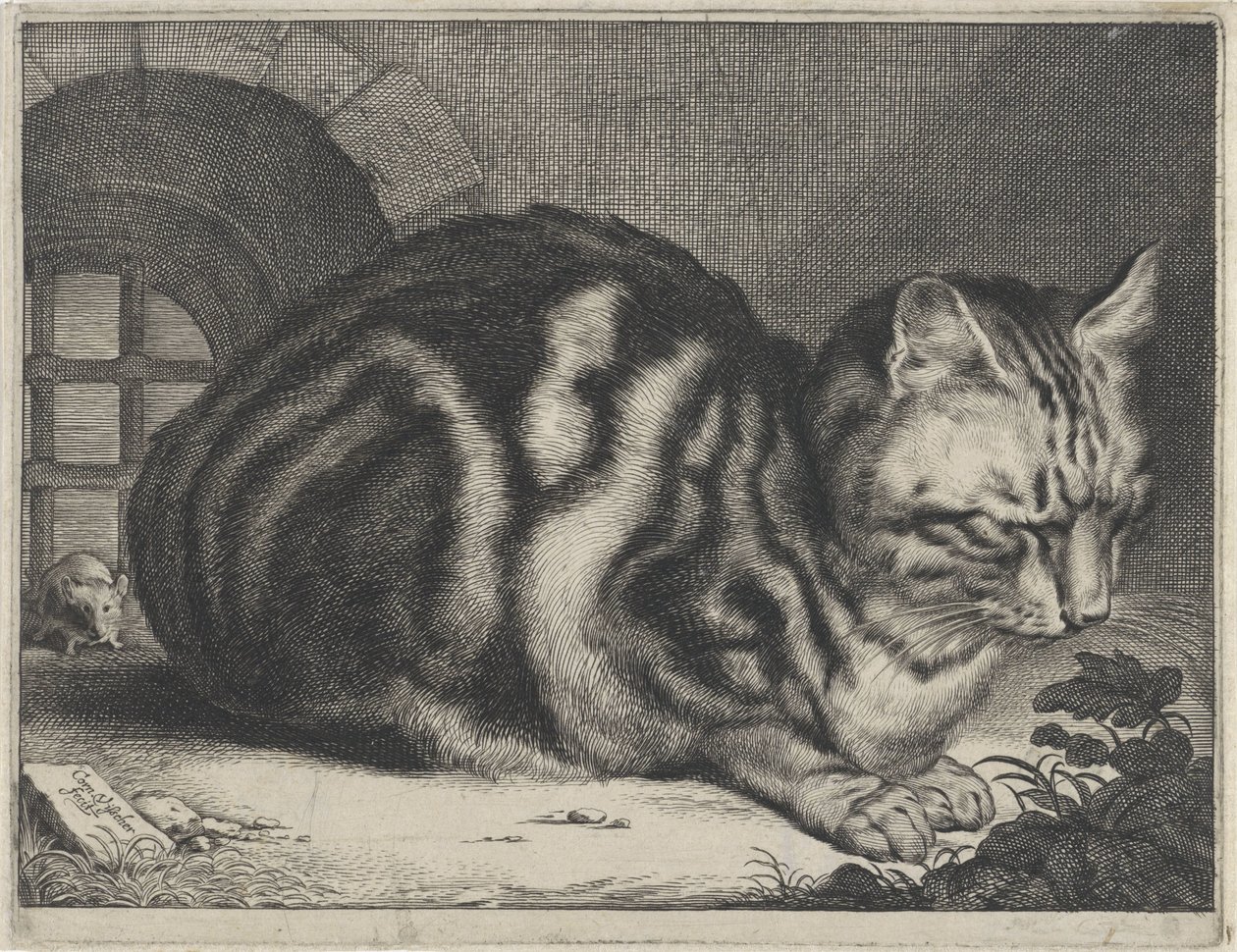 Den store katten av Cornelis Visscher (II)