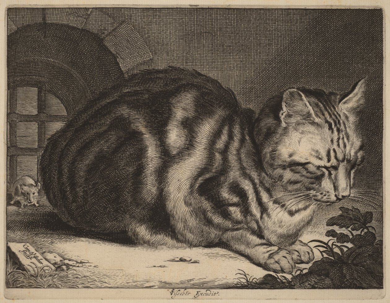 Den store katten av Cornelis Visscher