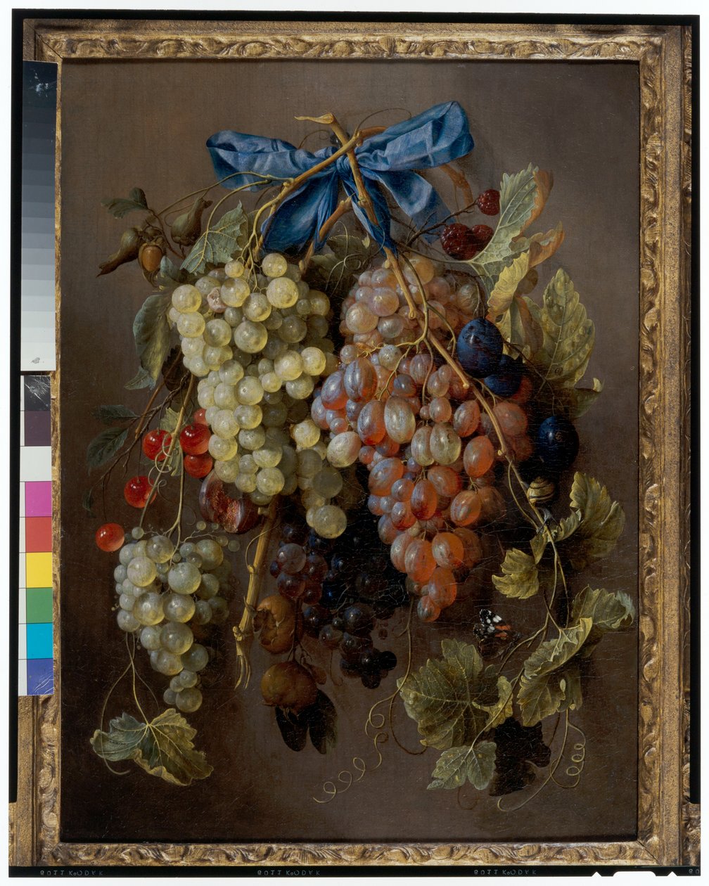 Stilleben av druer, kirsebær og plommer som henger fra en spiker med et blått bånd av Cornelis de Heem