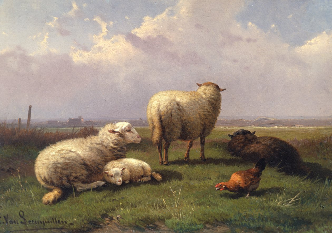 Sauer som døser i et beite, 1800-tallet av Cornelis van Leemputten
