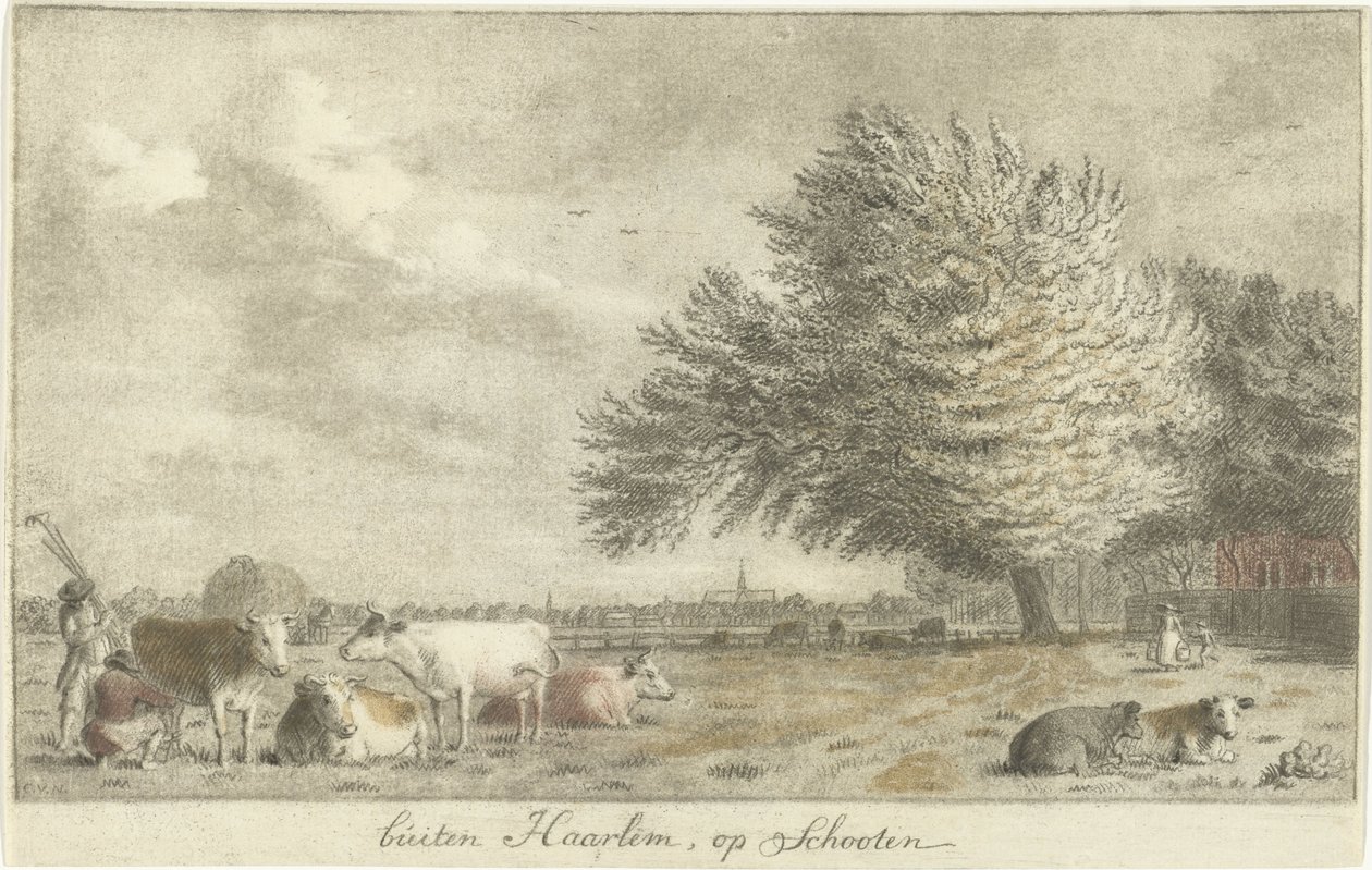 Kyr i en eng utenfor Haarlem, på Schooten (tittel på objekt) av Cornelis van Noorde