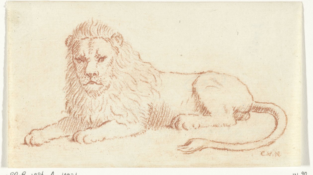 Løve av Cornelis van Noorde