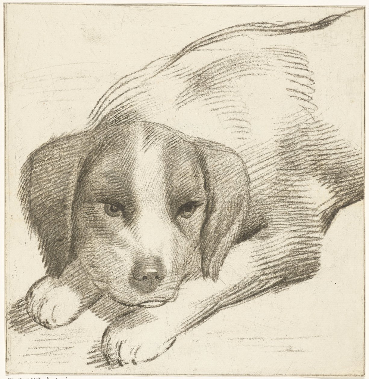 liggende hund av Cornelis van Noorde