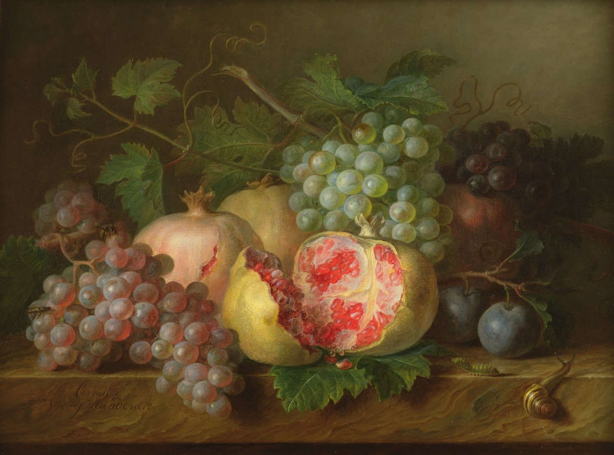 Stilleben av granatepler, druer og plommer på en marmorhylle (panel) av Cornelis van Spaendonck