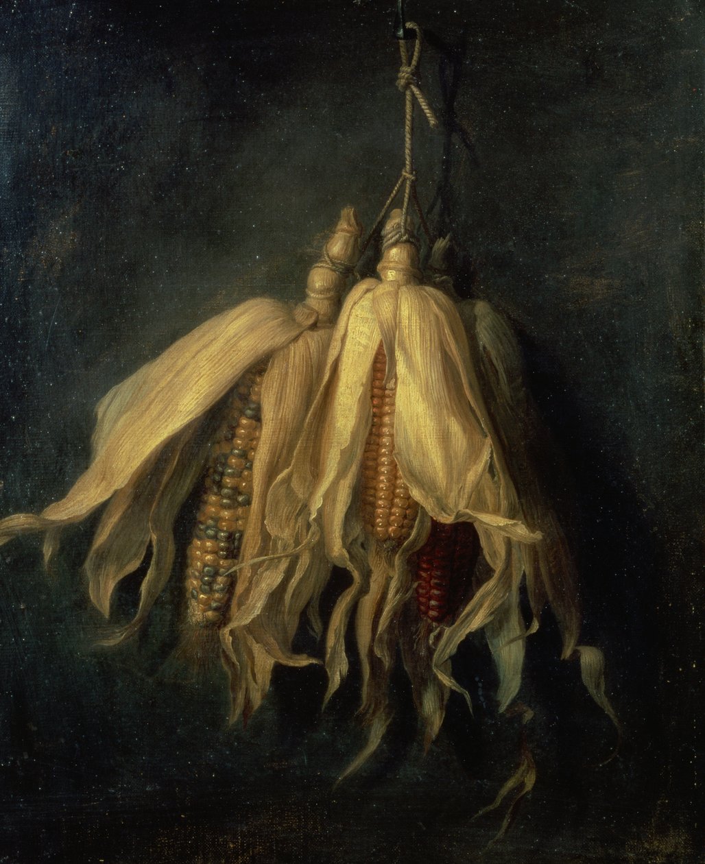 Tre maiskolber som henger fra en spiker (olje på lerret) av Cornelis van Spaendonck