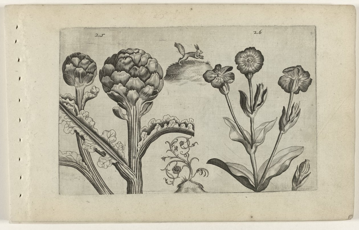 Artisjok en prikneus Kjenn liljen (serietittel) av Crispijn van de Passe (I) (attributed to)