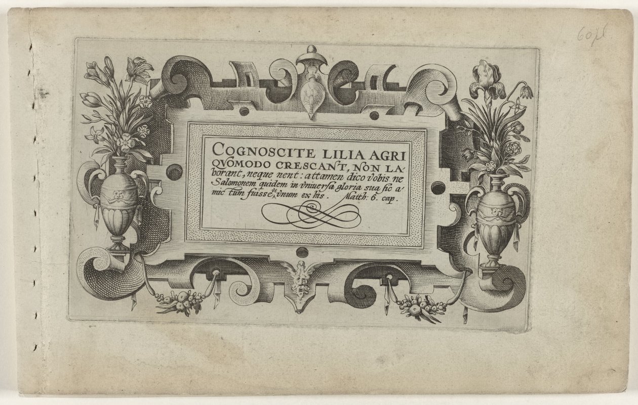 Tittelside og elleve trykk av blomster, planter og frukt Kartusj med rulleramme for serien: Cognoscite lilia Cognoscite lilia (serietittel på objekt) av Crispijn van de Passe (I) (attributed to)