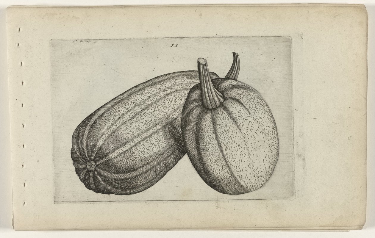 To meloner Know the Lilies (serietittel) av Crispijn van de Passe (I) (attributed to)