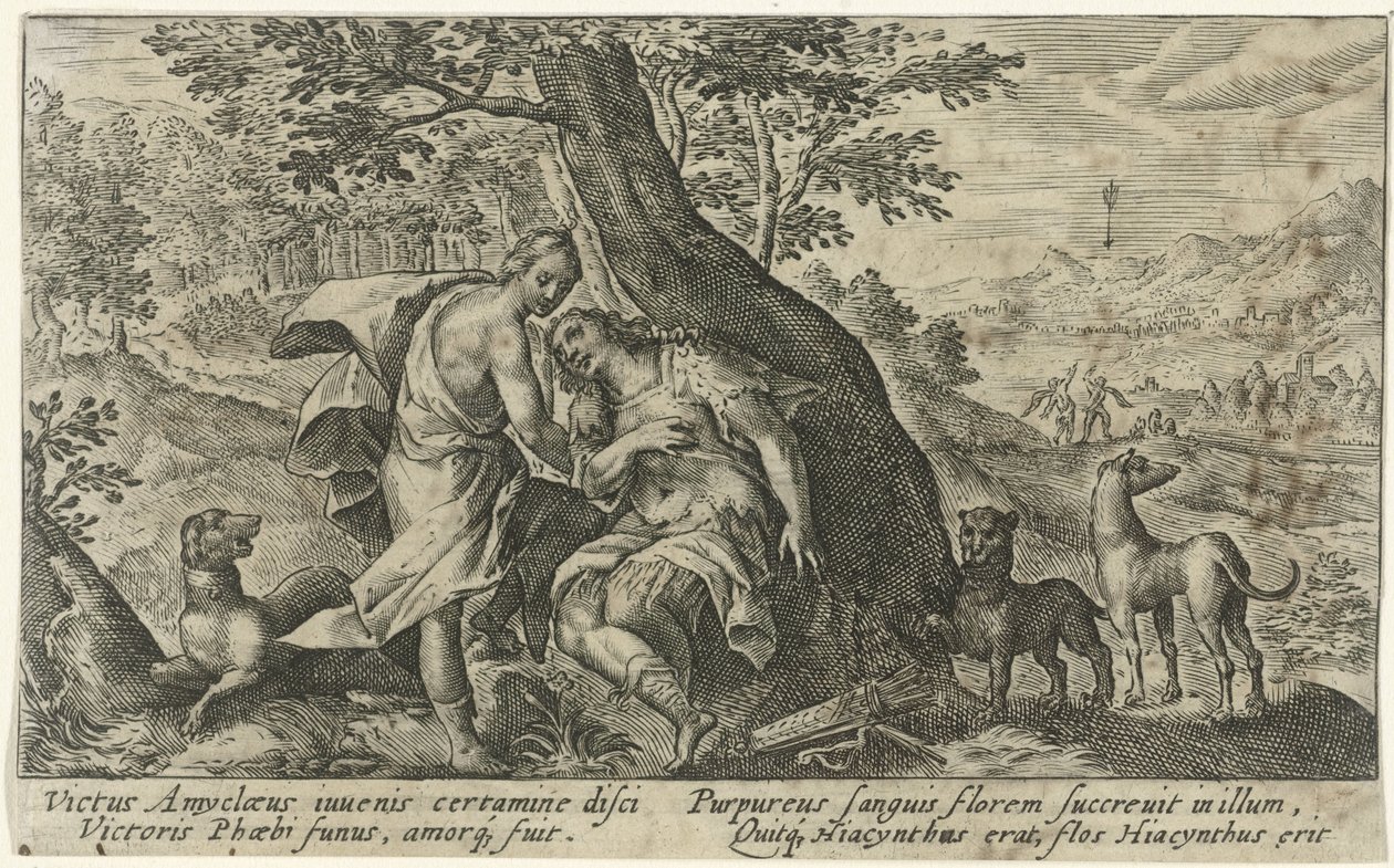 Apollo og Hyacinthus Metamorfosen van Ovidius (serietittel) av Crispijn van de Passe (I)
