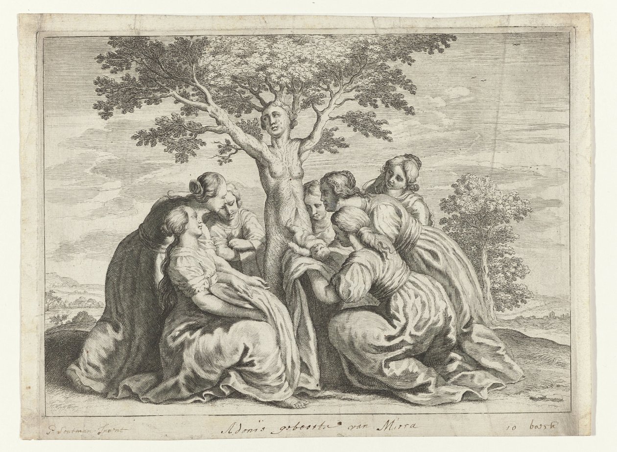 Fødsel av Adonis Metamorphoses of Ovid (serietittel) av Crispijn van de Passe (II) (workshop of)